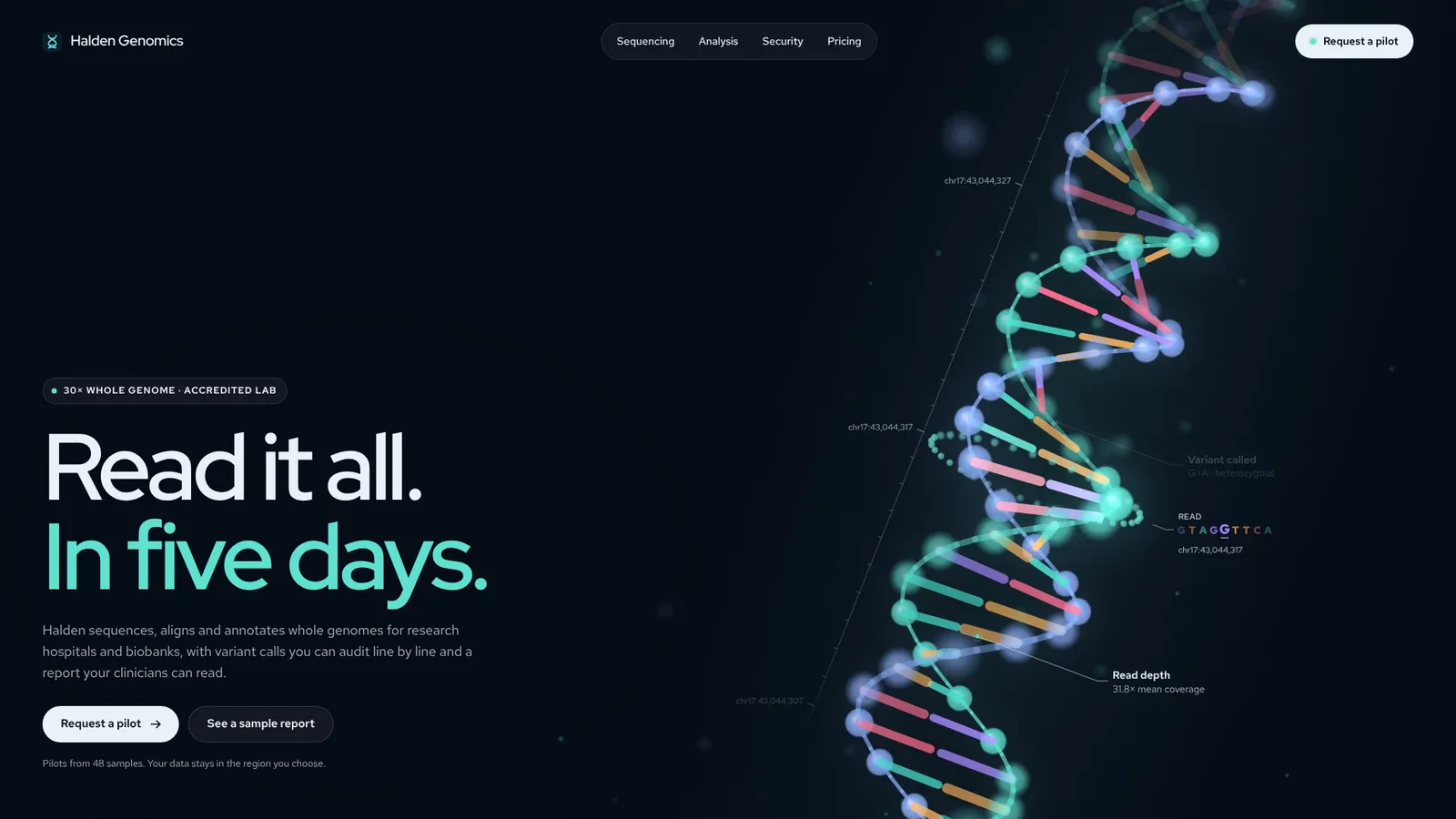 DNA Helix Hero: example result 2